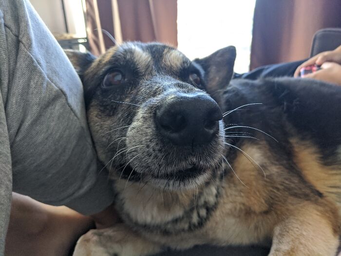 This Baby Trying To Get Your Attention