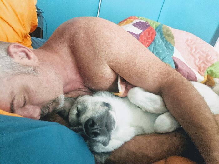 My Boys Napping And Bonding.