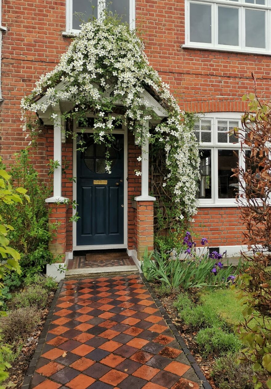 Overwhelmed With White Blooms