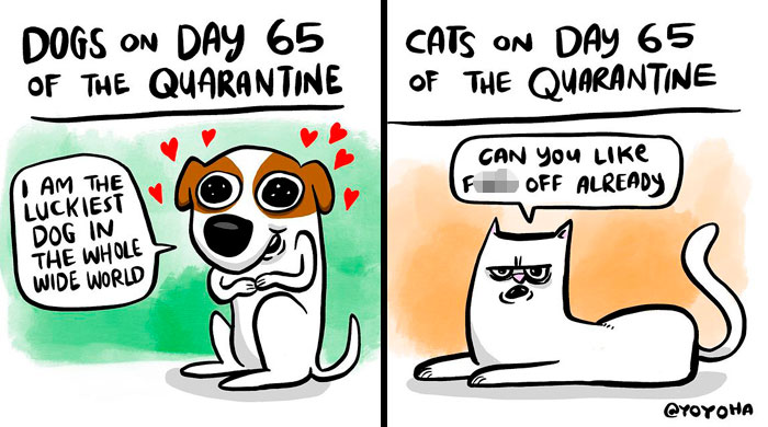 Cartoonist-Yoyoha-Comics-Josh-Hara