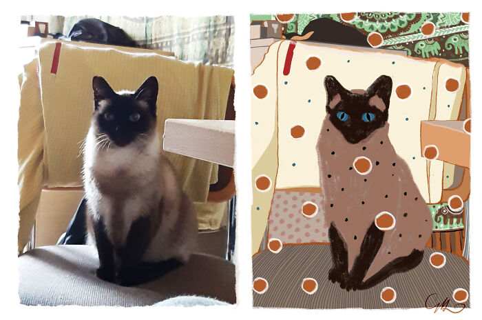 Sent This Picture Of My Cat To My Sister. Her Response Was Amazing!