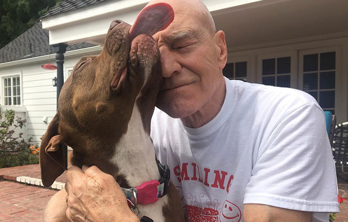 50 Celebrities Who Have Openly Displayed Their Immense Love For Dogs