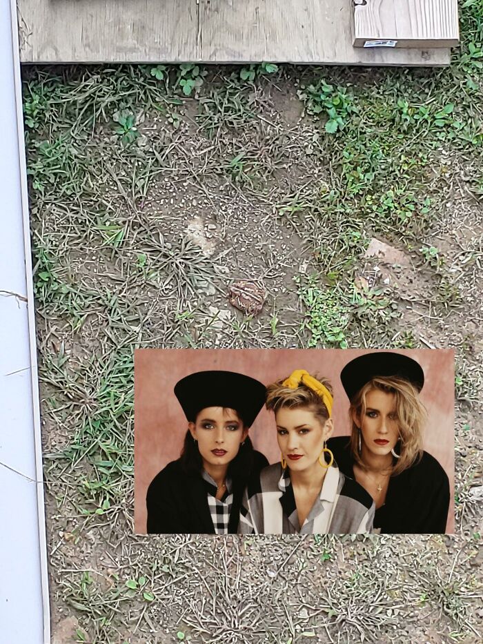 Toad In My Yard, Bananarama For Scale