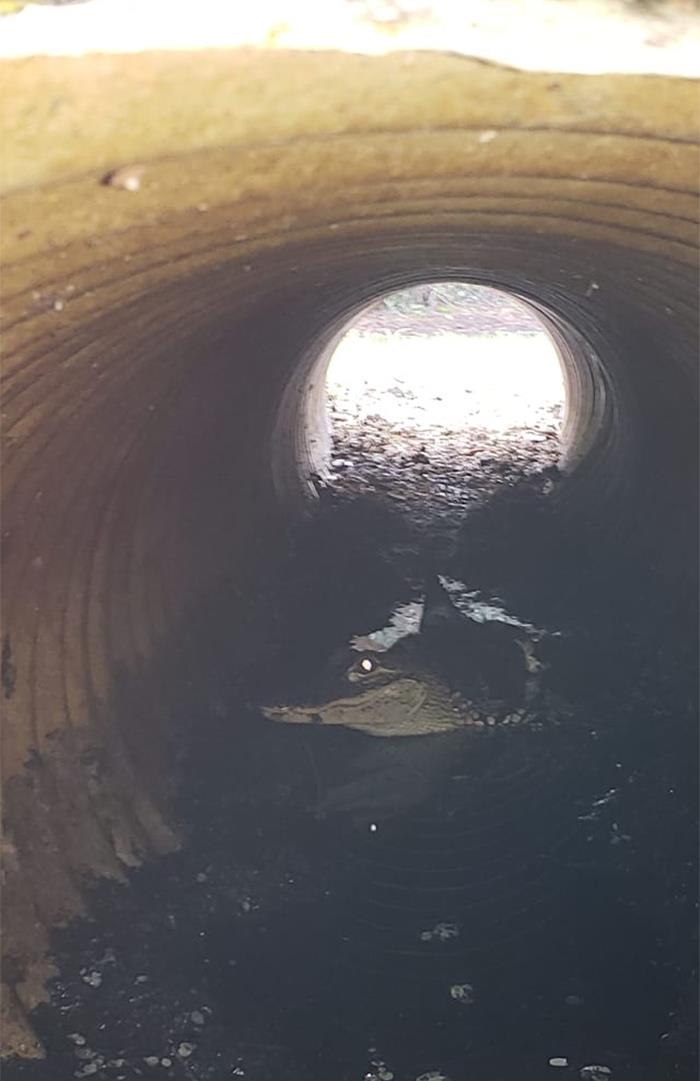 When You Blindly Stick Your Phone In A Culvert, Knowing You Have One Shot