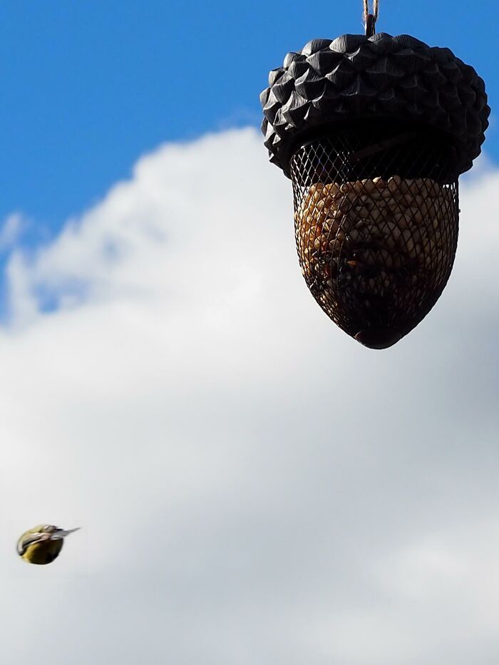 Back To The Mother Ship