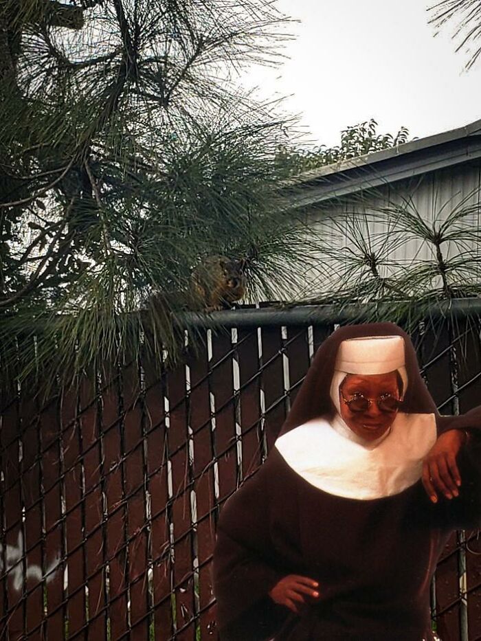 Caught This Little Guy On My Neighborhood Walk The Other Day. Sister Act For Scale