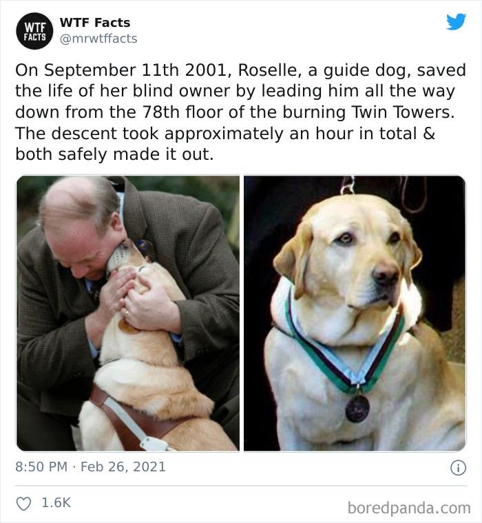 Weird-Interesting-Facts