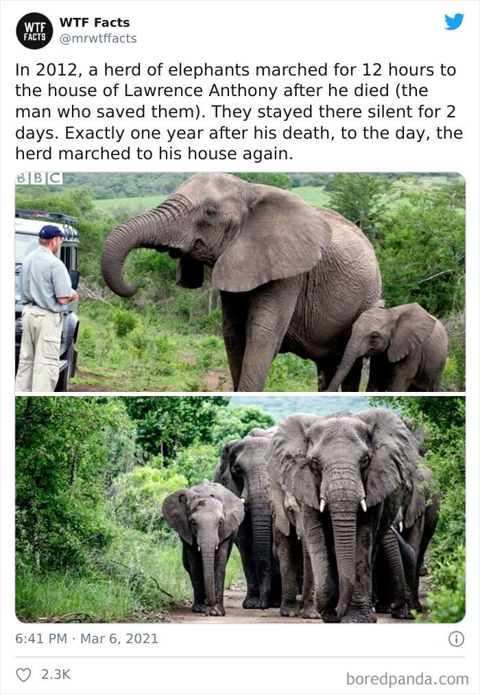 Weird-Interesting-Facts