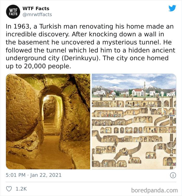 Weird-Interesting-Facts