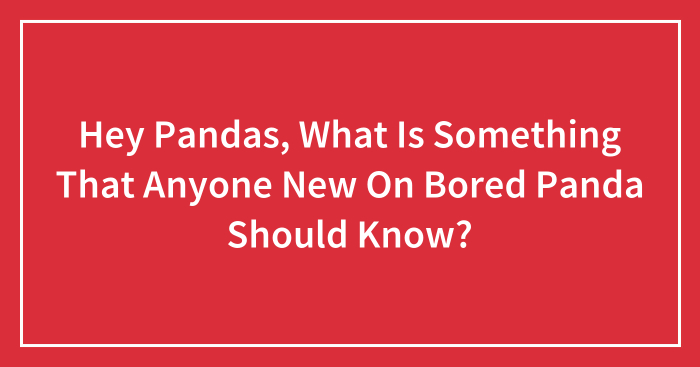 Hey Pandas, What Is Something That Anyone New On Bored Panda Should Know? (Closed)