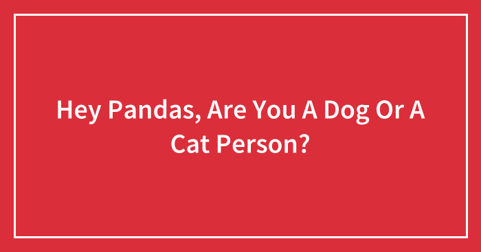 Hey Pandas, Are You A Dog Or A Cat Person? (Closed)