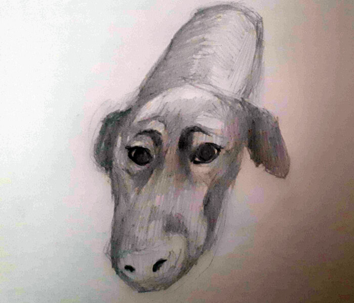 Hey Pandas, Draw The Best Portrait Of Your Dog (Closed)