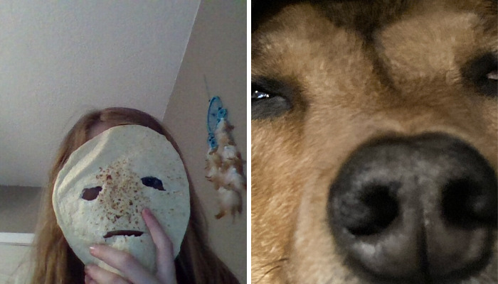 Hey Pandas, What Is The Latest Picture On Your Camera Roll? (Closed)