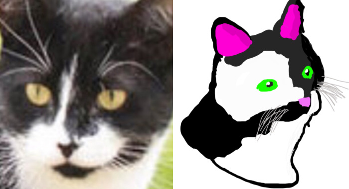 Hey Pandas, Draw Your Pet And Share It With A Real-Life Photo Of Them (Closed)