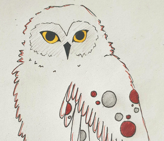 Hey Pandas, What Is Your Favorite Animal And How Well Can You Draw It? (Closed)