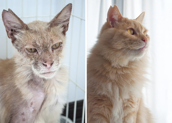 More Photos Of Chataro’s Amazing Transformation