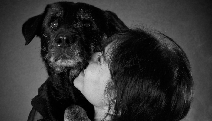 Our Project Called “The Embrace”