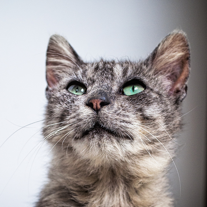 We Rescued Min-Min, Who Turned Out To Be The Most Lovely Little Girl You Could Imagine