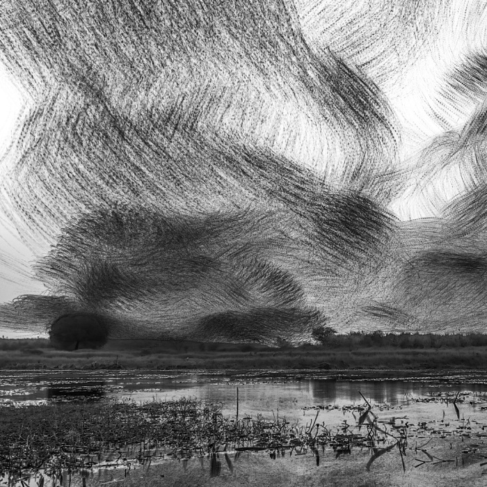 “When Birds Paint The Sky”:
i Created A Series Of Creative Renders Out Of Starling’s Murmuration