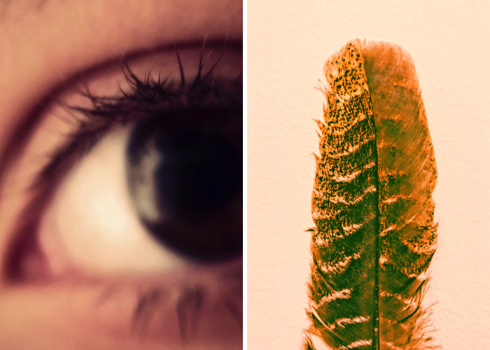 I’m Twelve, And Here’s Some Of My Photography