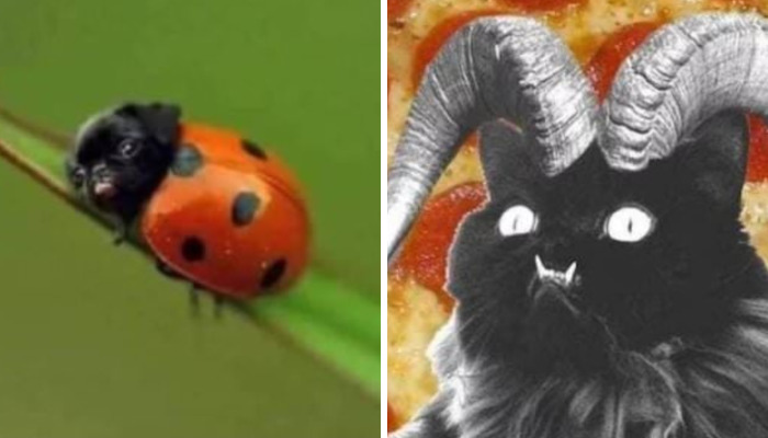 Hey Pandas, Share The Weirdest Photoshopped Picture You Have Ever Seen (Closed)