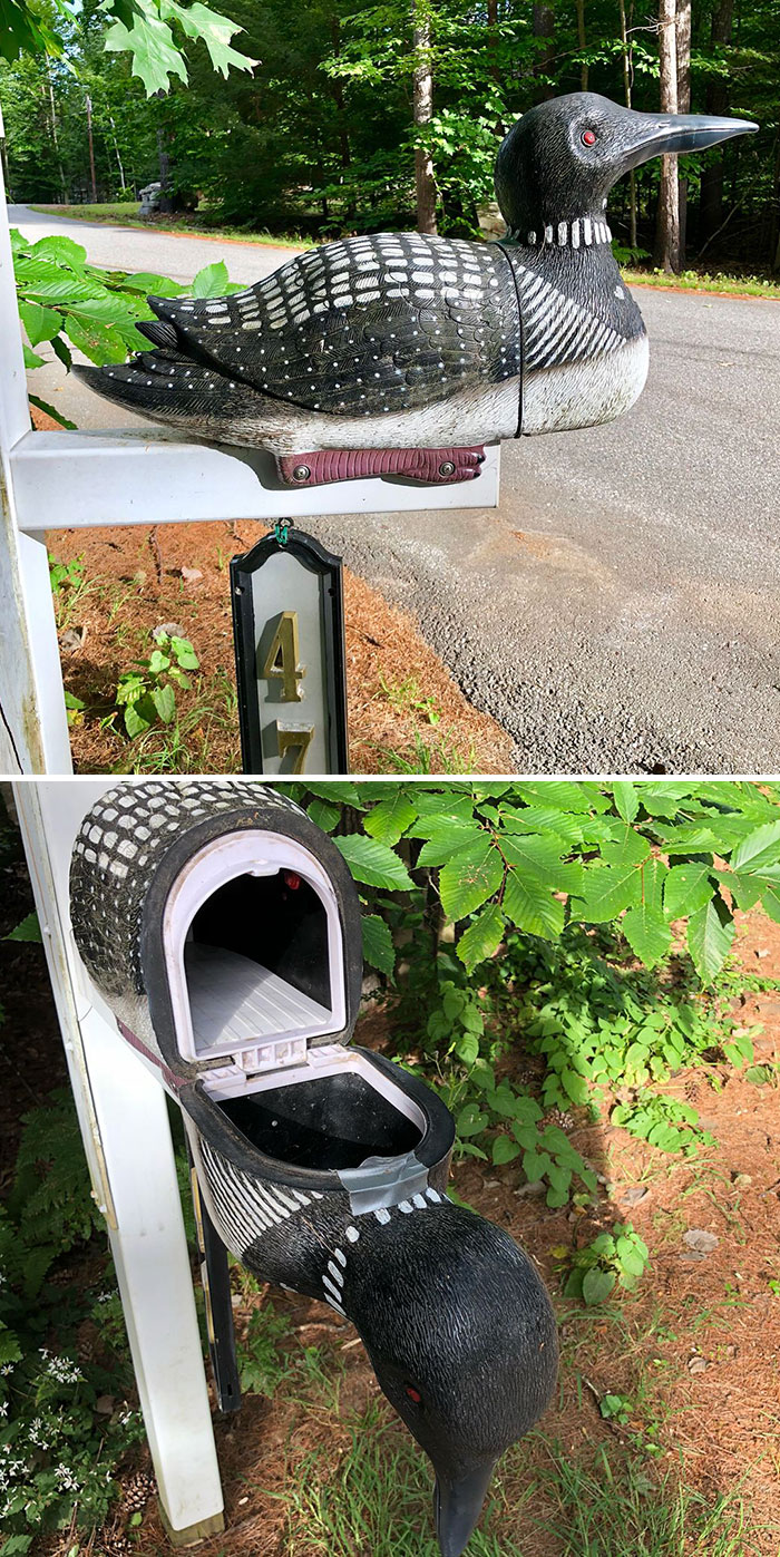 Creative and cool mailbox shaped like a loon bird mounted by a roadside in a green, wooded area.