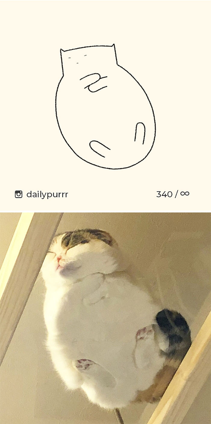 Stupid-Cat-Drawings-New-Dailypurrr