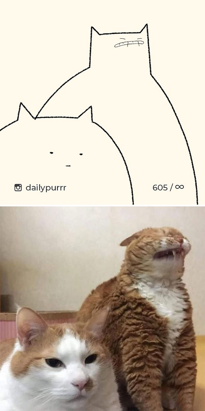 Stupid-Cat-Drawings-New-Dailypurrr
