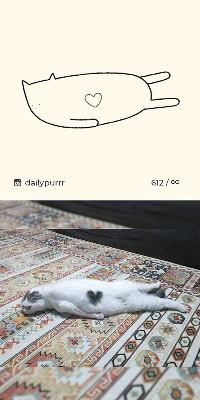 Stupid-Cat-Drawings-New-Dailypurrr