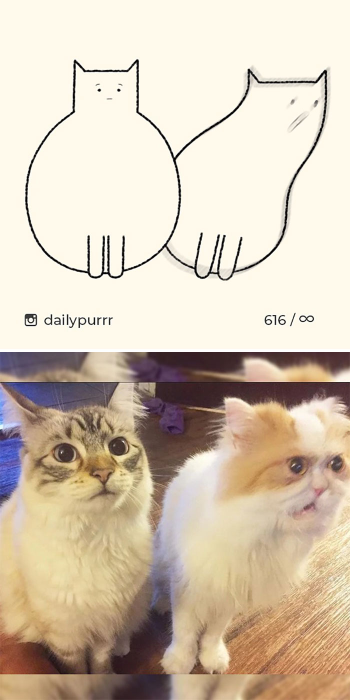 Stupid-Cat-Drawings-New-Dailypurrr