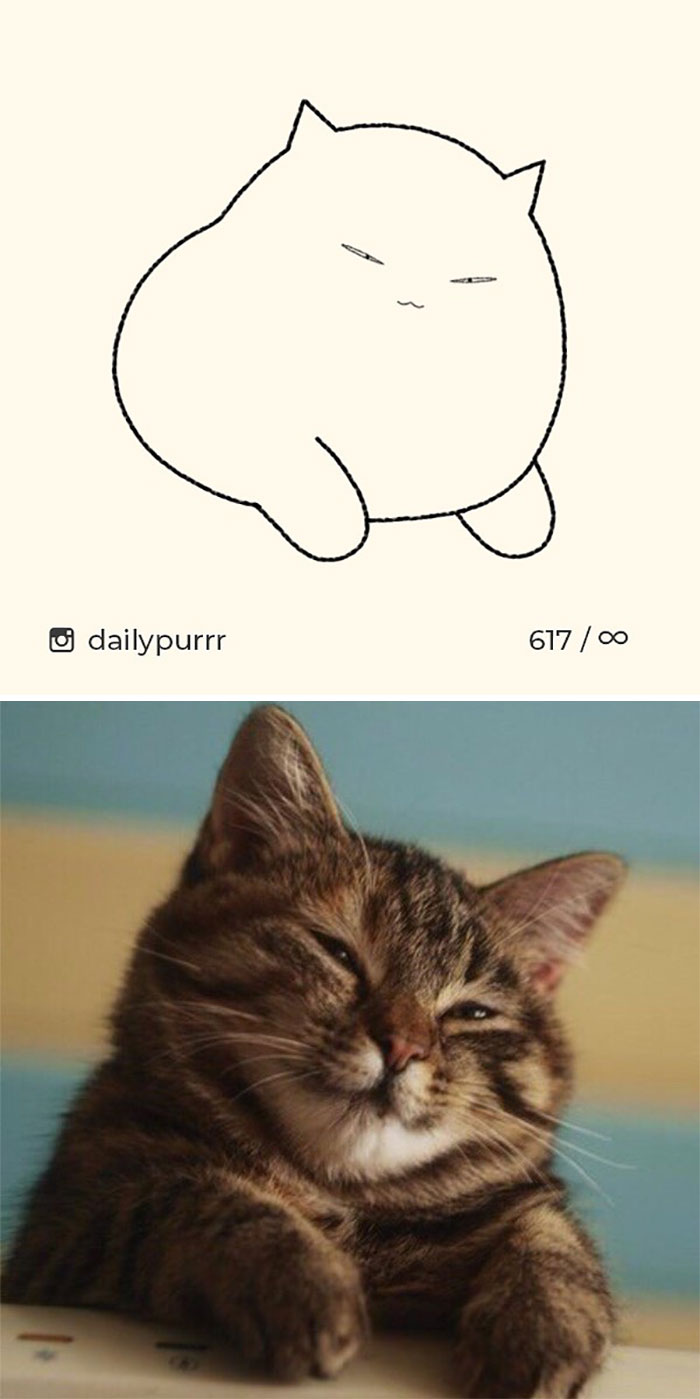 Stupid-Cat-Drawings-New-Dailypurrr
