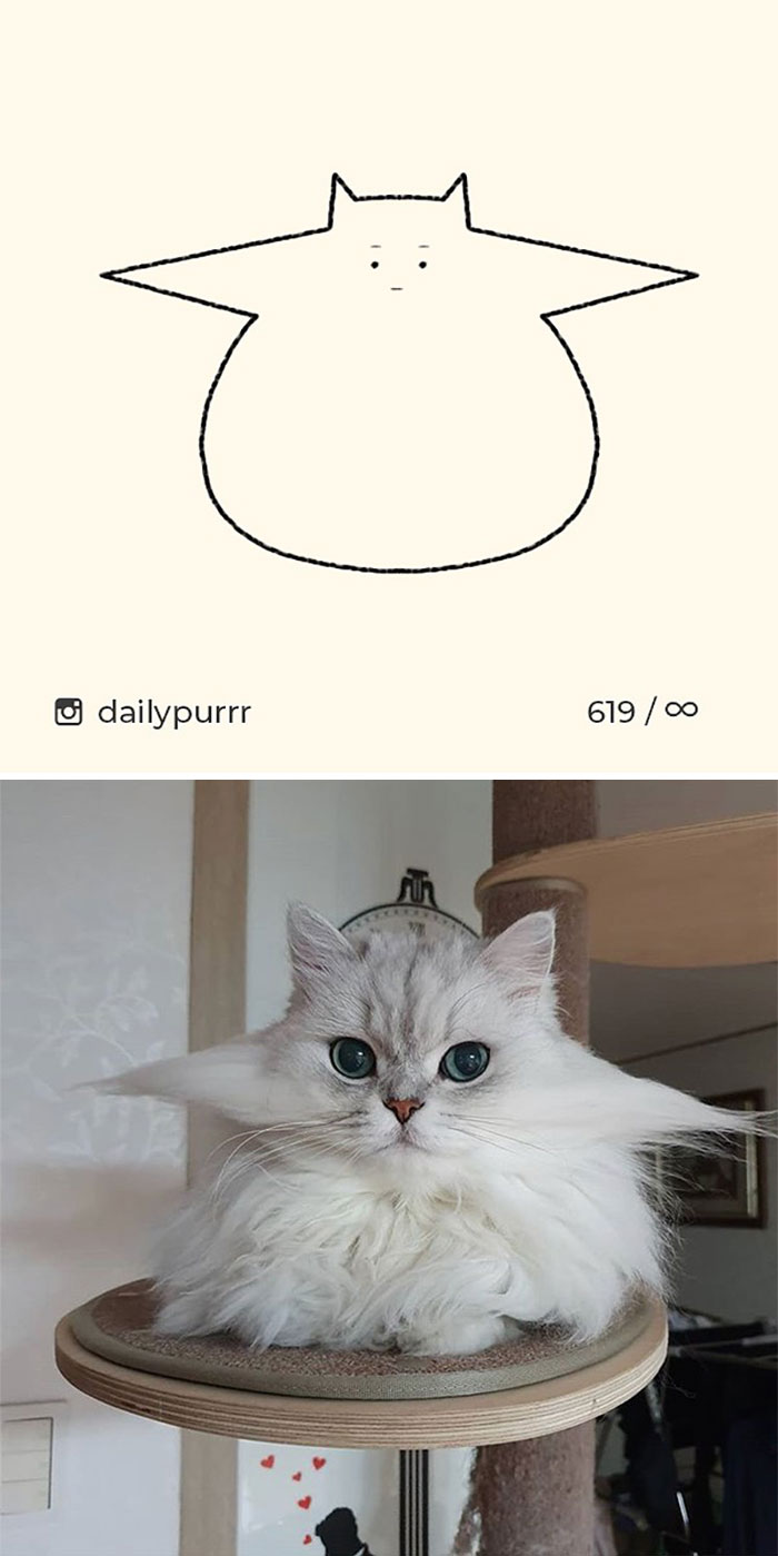Stupid-Cat-Drawings-New-Dailypurrr