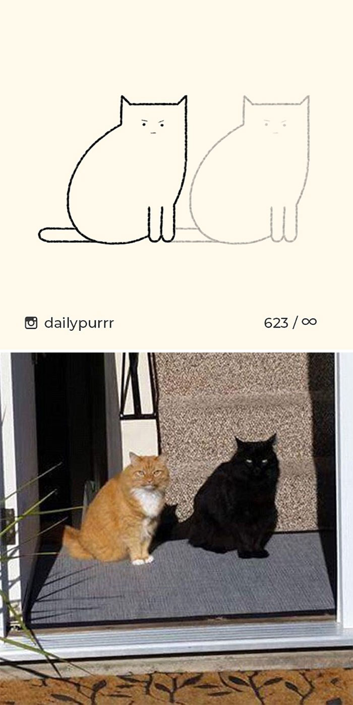 Stupid-Cat-Drawings-New-Dailypurrr