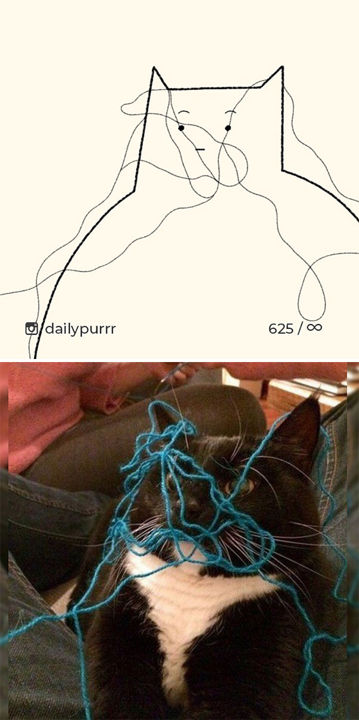 Stupid-Cat-Drawings-New-Dailypurrr