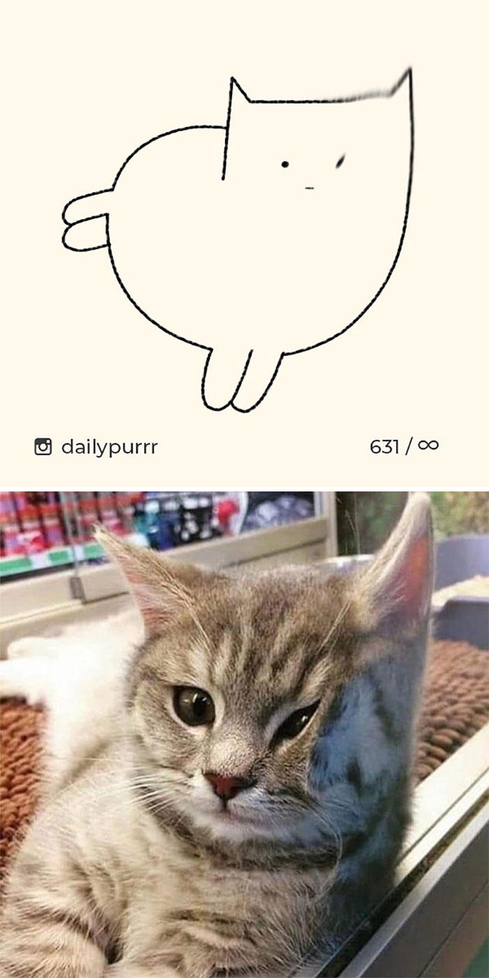 Stupid-Cat-Drawings-New-Dailypurrr