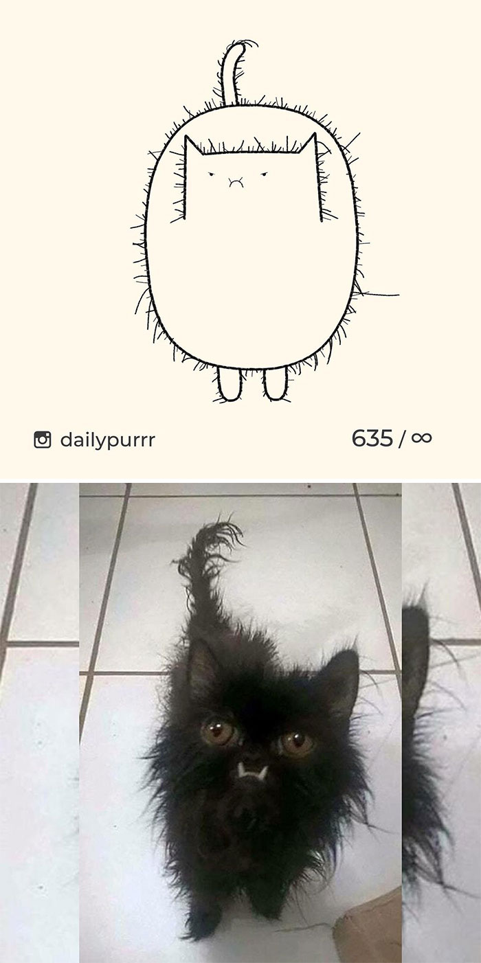 Stupid-Cat-Drawings-New-Dailypurrr