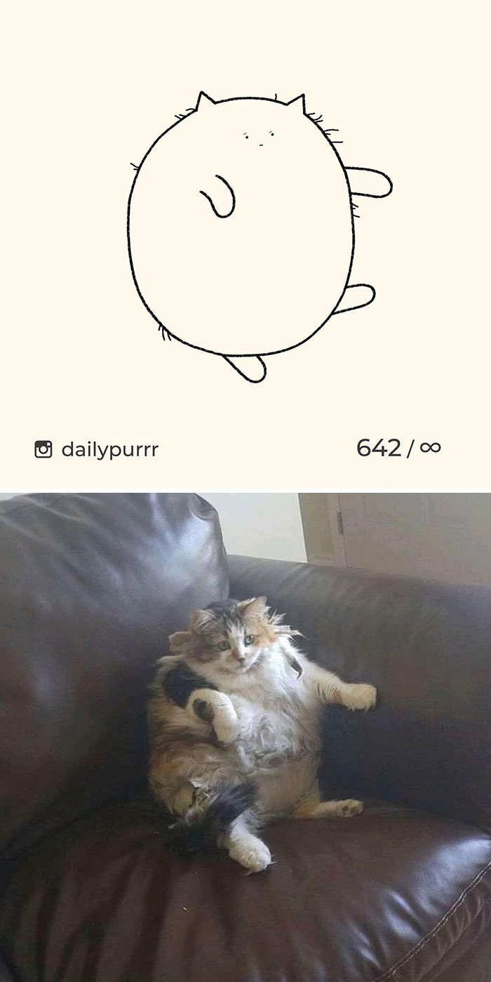 Stupid-Cat-Drawings-New-Dailypurrr