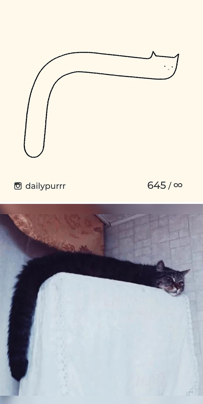 Stupid-Cat-Drawings-New-Dailypurrr