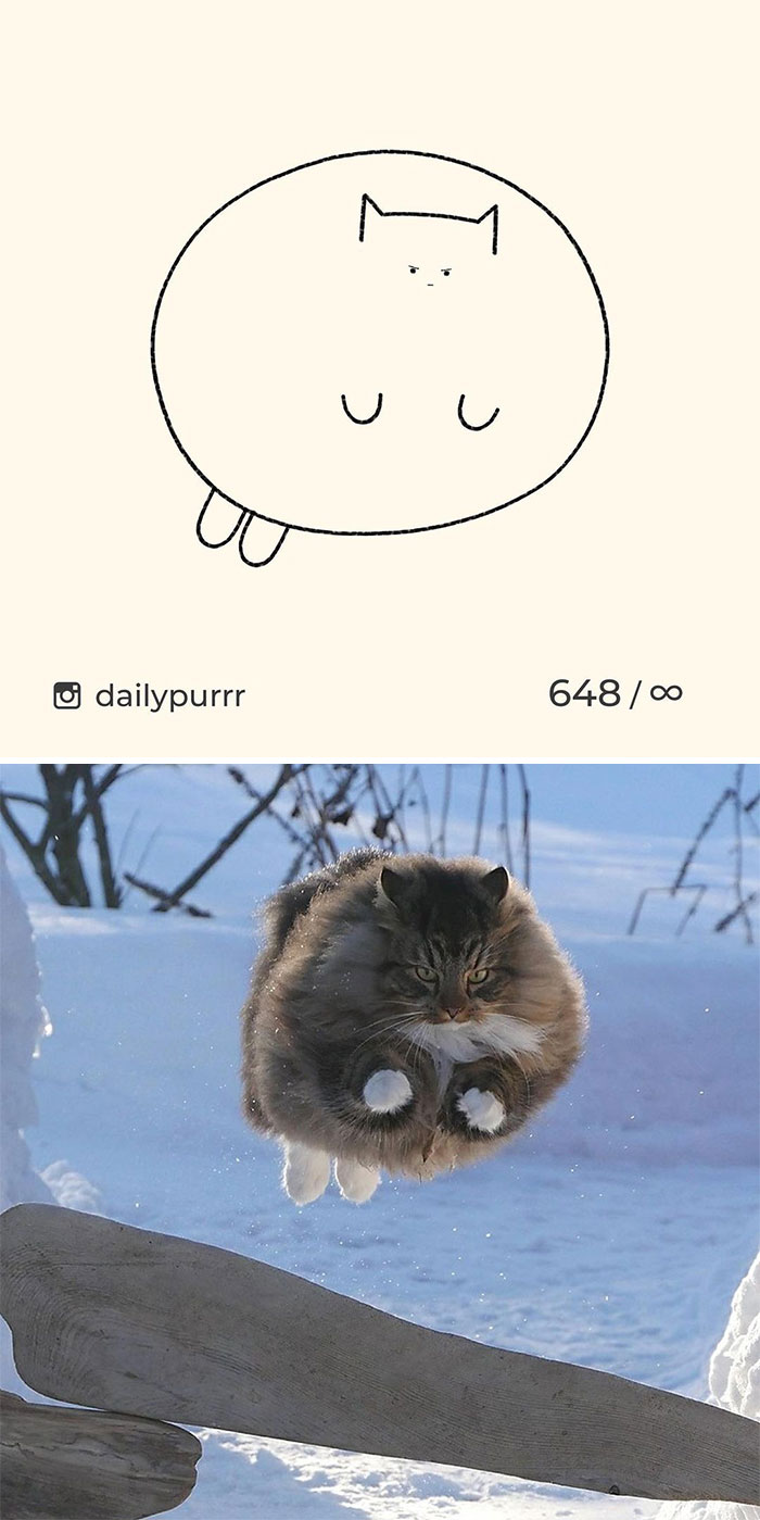 Stupid-Cat-Drawings-New-Dailypurrr