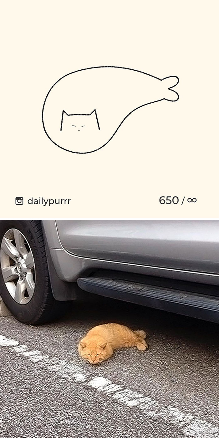 Stupid-Cat-Drawings-New-Dailypurrr