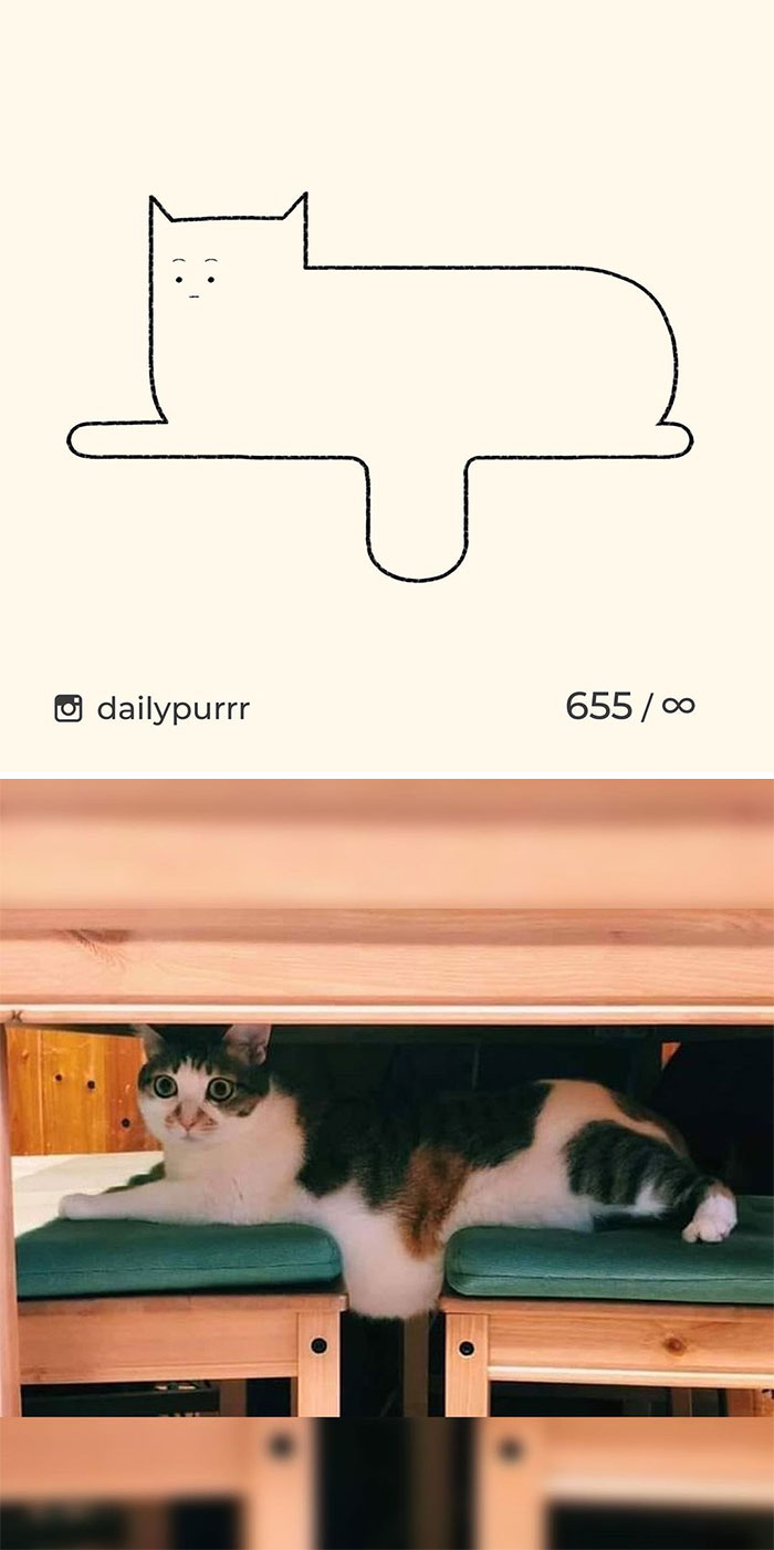 Stupid-Cat-Drawings-New-Dailypurrr