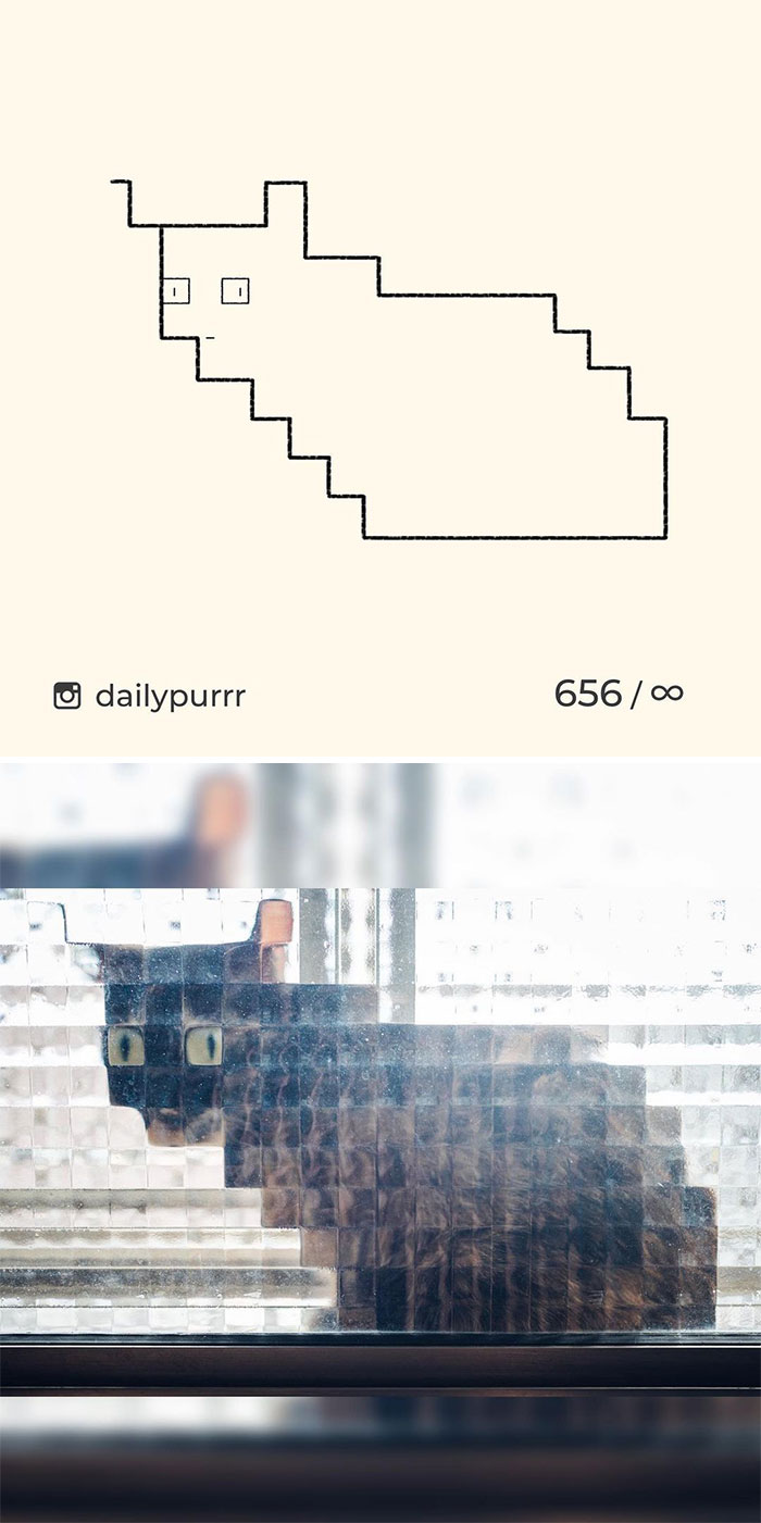 Stupid-Cat-Drawings-New-Dailypurrr