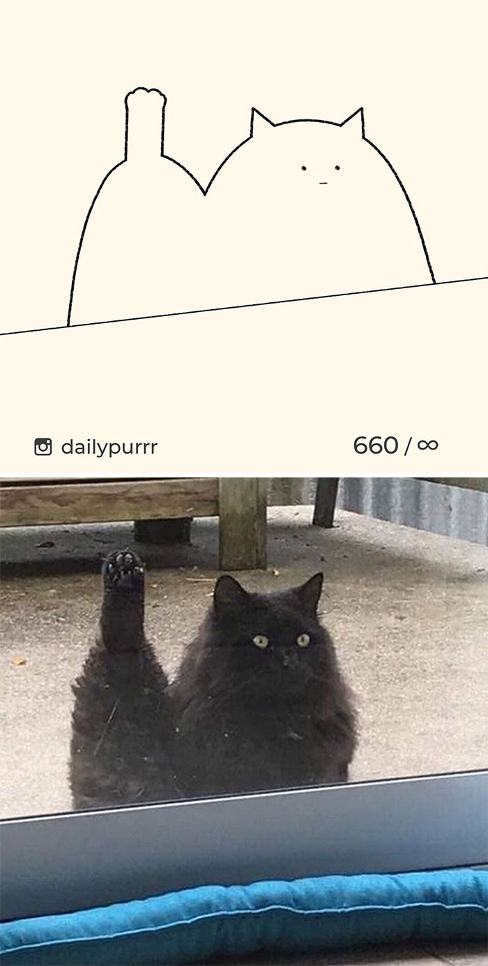 Stupid-Cat-Drawings-New-Dailypurrr