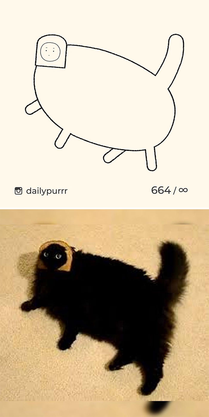 Stupid-Cat-Drawings-New-Dailypurrr