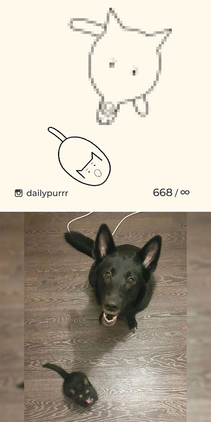 Stupid-Cat-Drawings-New-Dailypurrr