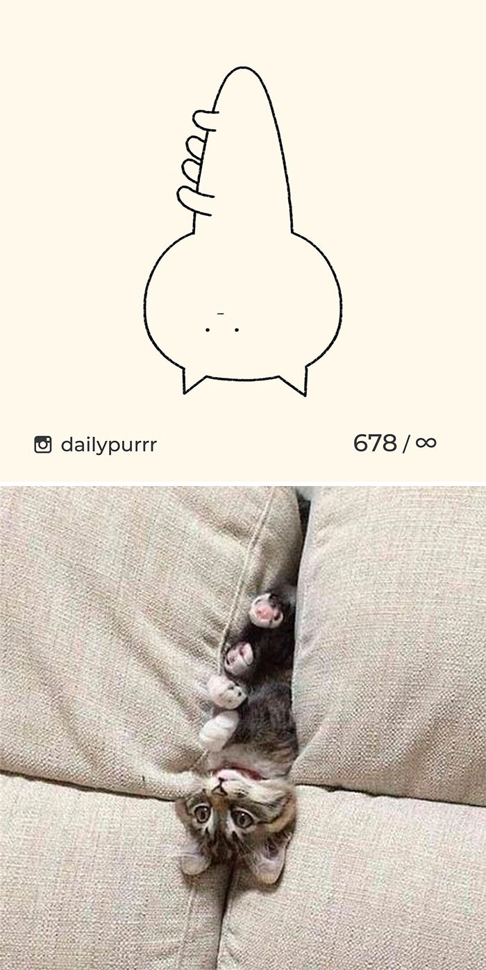 Stupid-Cat-Drawings-New-Dailypurrr