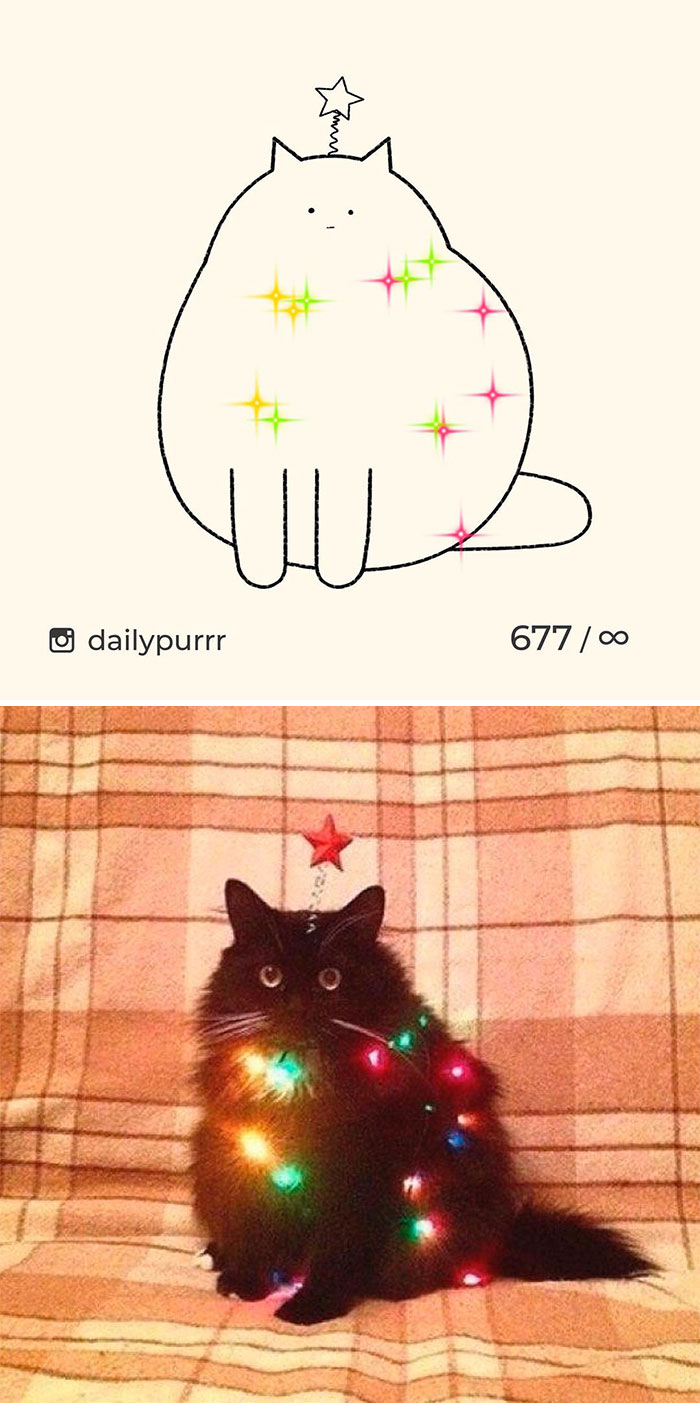 Stupid-Cat-Drawings-New-Dailypurrr