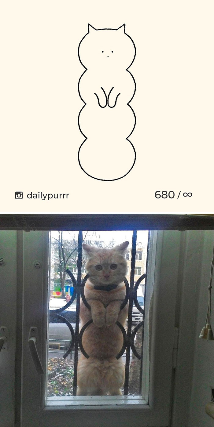 Stupid-Cat-Drawings-New-Dailypurrr