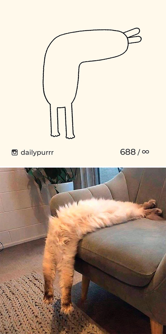 Stupid-Cat-Drawings-New-Dailypurrr