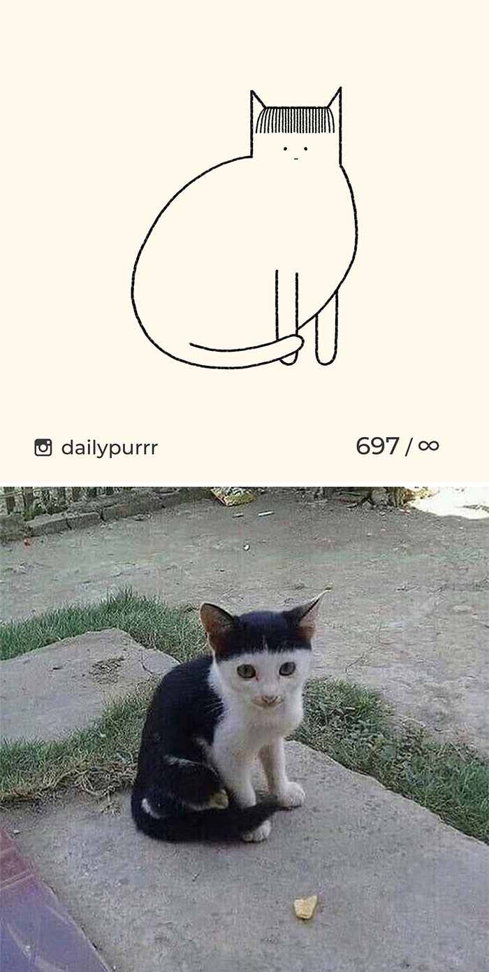Stupid-Cat-Drawings-New-Dailypurrr